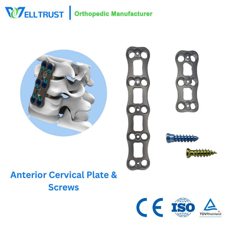 Anterior Cervical Plate Screw