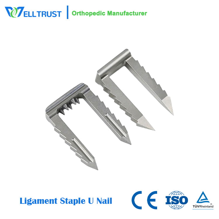Ligament Staple U Nail