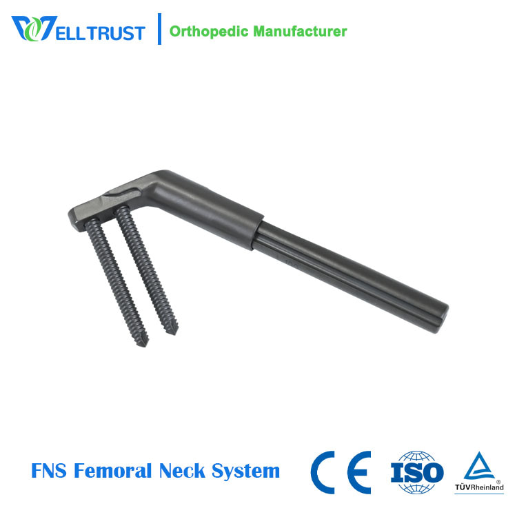 FNS Femoral Neck System