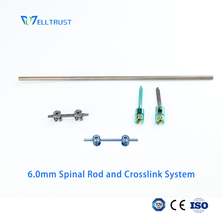 6.0mm Spinal Rod and Crosslink System