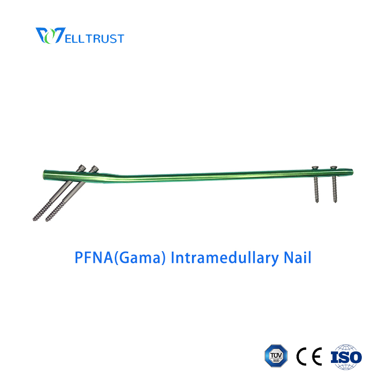 PFNA (Gama) Intramedullary Nail